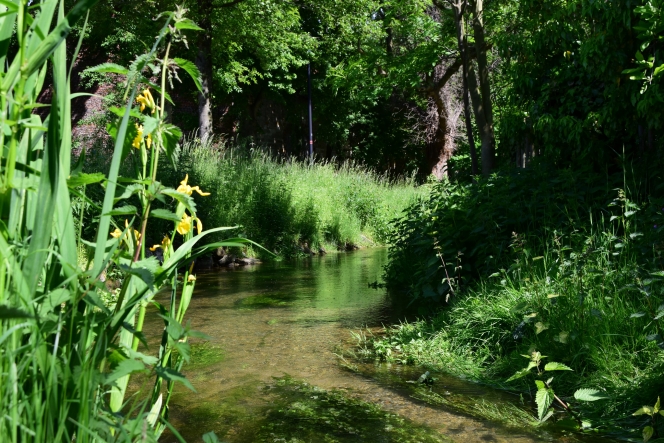 Die Heder in Salzkotten-Upsprunge © Touristikzentrale Paderborner Land